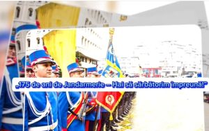 Jandarmii argeșeni vă invită la ziua lor! 1 cats 1 - Jandarmii argeșeni vă invită la ziua lor!