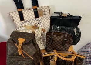 cats 4 - Au furat genți și pantofi de 70.000 de euro! Un român de 22 de ani, arestat în Italia