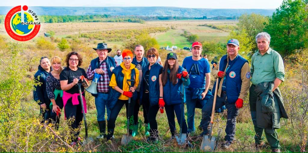 acțiune impadurire Argeș acțiune impadurire Argeș