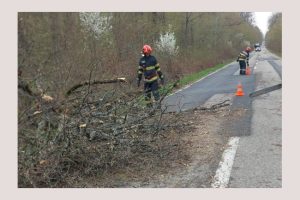 Trafic afectat spre Băbana din cauza unui copac căzut iar la Căteasca din cauza unui stâlp 1 copac cazut Argeș