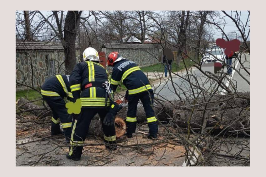 Trafic afectat spre Băbana din cauza unui copac căzut iar la Căteasca din cauza unui stâlp 2 copaci cazuti arges