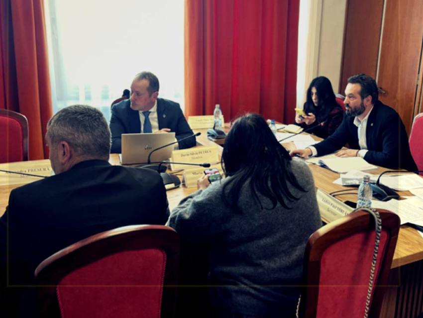 mihai cotet senat comisie Sursa foto: FB Mihai Coteț 1