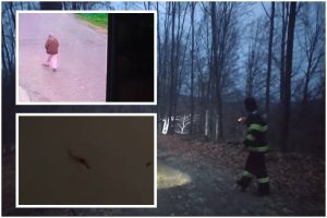 (Video) Femeia de 78 de ani din Merișani a fost căutată inclusiv cu un elicopter 1 femeia disparuta Merisani cautari