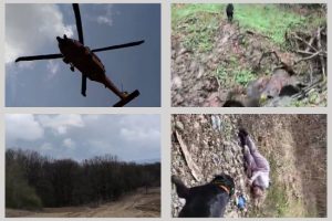 Femeie Merișani gasita