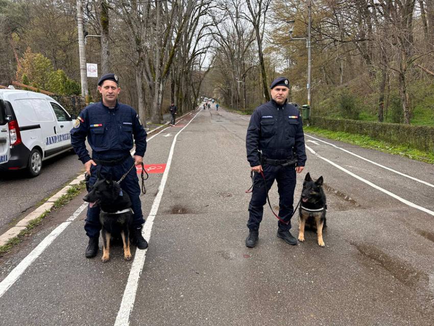 Sursă foto: FB Primăria Municipiului Pitesti