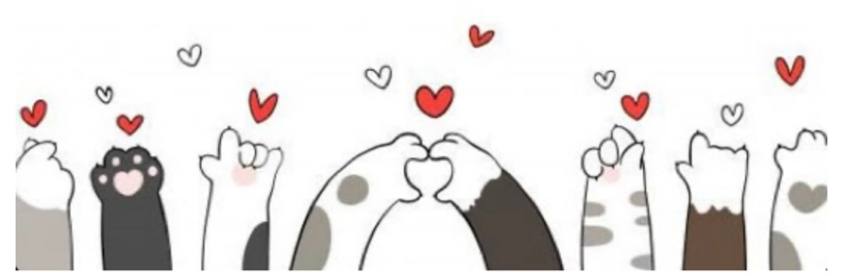 lost pow2 - LOST PAW. LICEUL TEORETIC “Ion Cantacuzino” Pitești