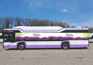 Transport gratuit la Simfonia Lalelelor 2025! Autobuzele circulă din 30 în 30 minute 1 Sursă foto: FB Primăria Municipiului Pitești.