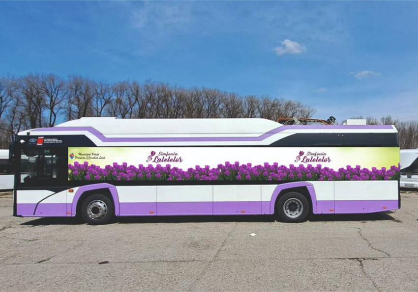 Concert extraordinar în Lunca Argeșului. Smiley și Anna Lesko vin la Pitești! 1 Sursă foto: FB Primăria Municipiului Pitești.