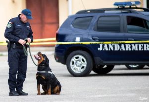 9dbf9d8c cafb 440d 9f70 69cc8fcd7362 - Experiență inedită pentru elevi! Au descoperit universul jandarmilor argeșeni