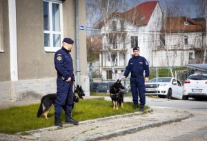 Experiență inedită pentru elevi! Au descoperit universul jandarmilor argeșeni 7 a8e3001f f886 45ac 8cfa e7d030545c51 - Experiență inedită pentru elevi! Au descoperit universul jandarmilor argeșeni