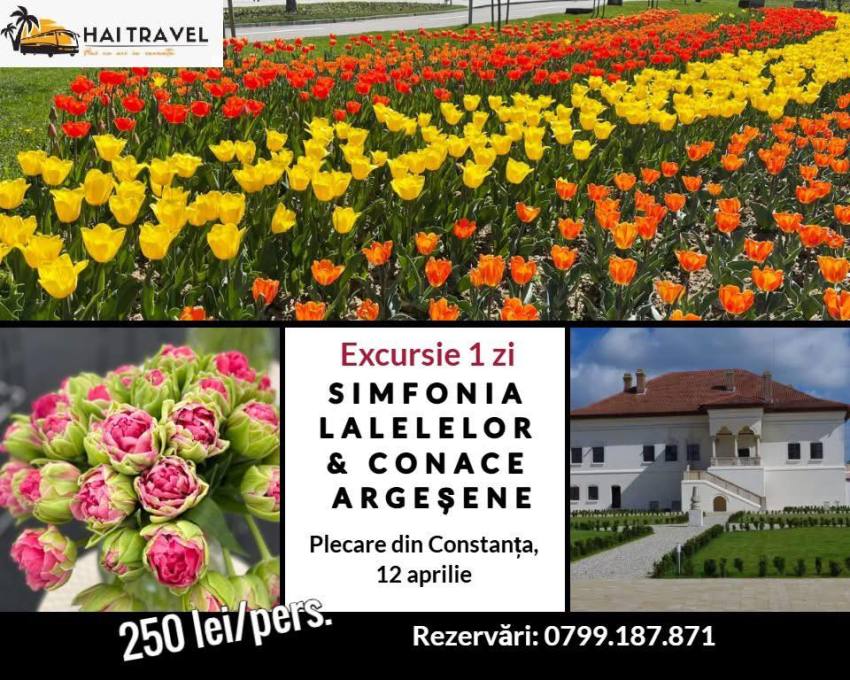 Piteștiul, destinație de primăvară pentru turiști! 5 turisti Pitești simfonia lalelelor