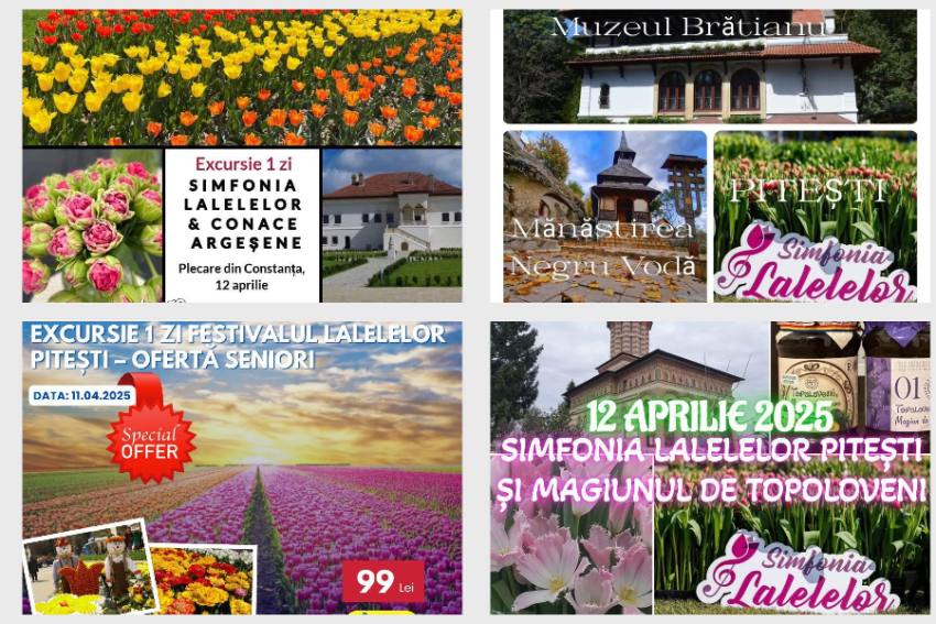 turisti Pitești simfonia lalelelor