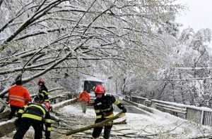 Vremea rea creează probleme în țară! Copaci căzuți, drumuri blocate, parcuri închise 1 cats 1 - Vremea rea creează probleme în țară! Copaci căzuți, drumuri blocate, parcuri închise