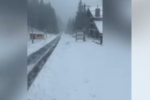 cats - (VIDEO) Zăpadă în aprilie! Drumarii au acționat pe DN 7C