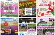 oferte turistice excursii simfonie