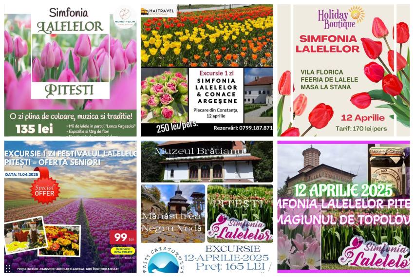 oferte turistice excursii simfonie