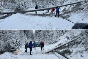 page - Turişti blocaţi pe traseul Bistra Mică, salvaţi de jandarmii montani!