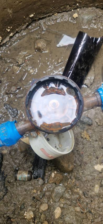 control mihaesti 1 - Controale de amploare ale Societății Apă Canal 2000 SA în comuna Mihăești