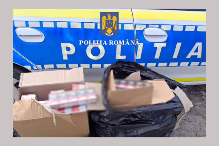 Untitled Project (3)