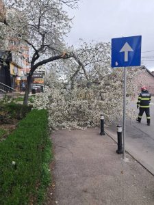 8e02f27d 43e9 4466 a001 1472d5de7f34 - Vremea extremă face ravagii în Argeș și în țară