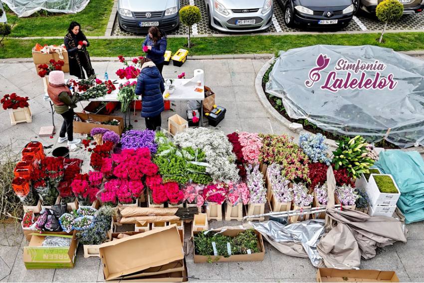 simfonia lalelelor 2025 Sursă foto: FB Primăria Municipiului Pitești.