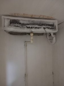 Nereguli majore găsite de ANPC la comercianții de pește! Amenzi de peste 1,3 milioane lei 1 490732917 1220933529388835 7925684807174731020 n - Nereguli majore găsite de ANPC la comercianții de pește! Amenzi de peste 1,3 milioane lei