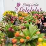 Sursă foto: FB Cristian Gentea