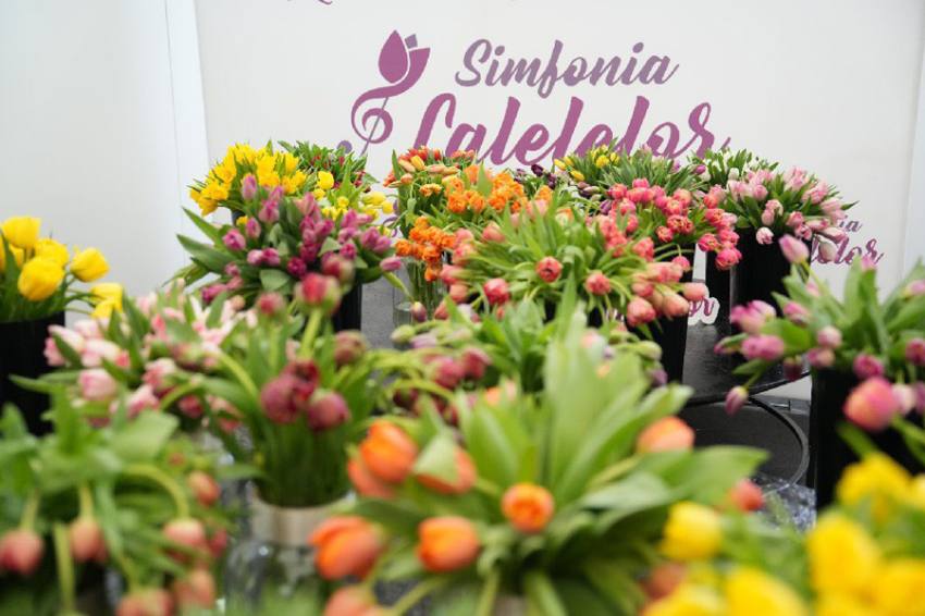 Sursă foto: FB Cristian Gentea