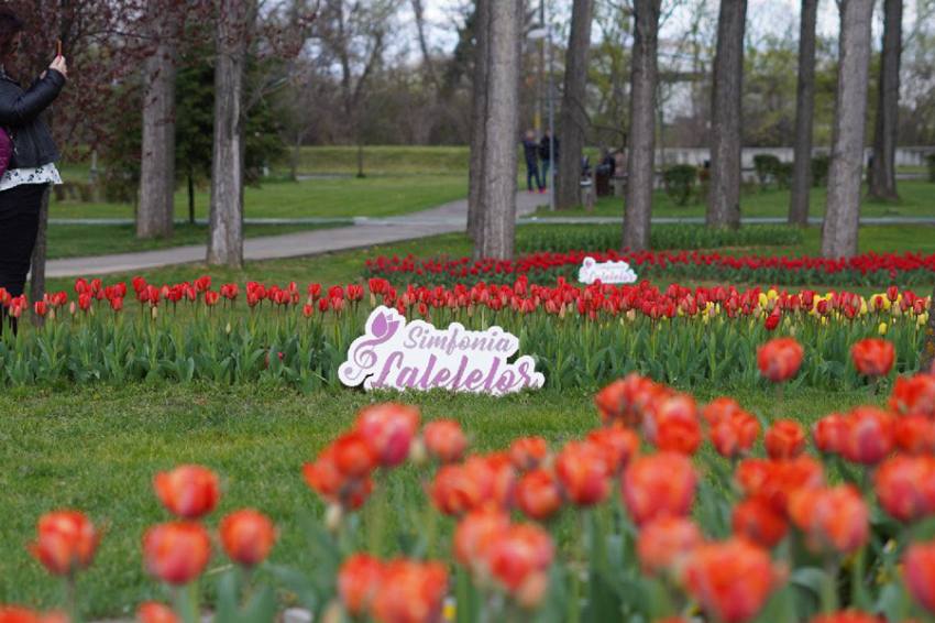 Sursă foto: FB Cristian Gentea