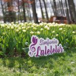 Sursă foto: FB Cristian Gentea