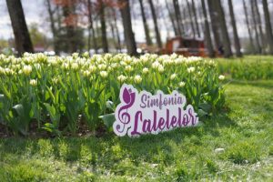 Sursă foto: FB Cristian Gentea