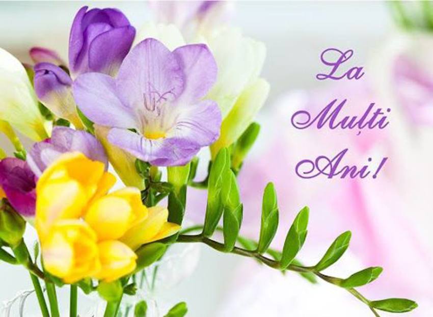 la multi ani flori miovemni spital 2