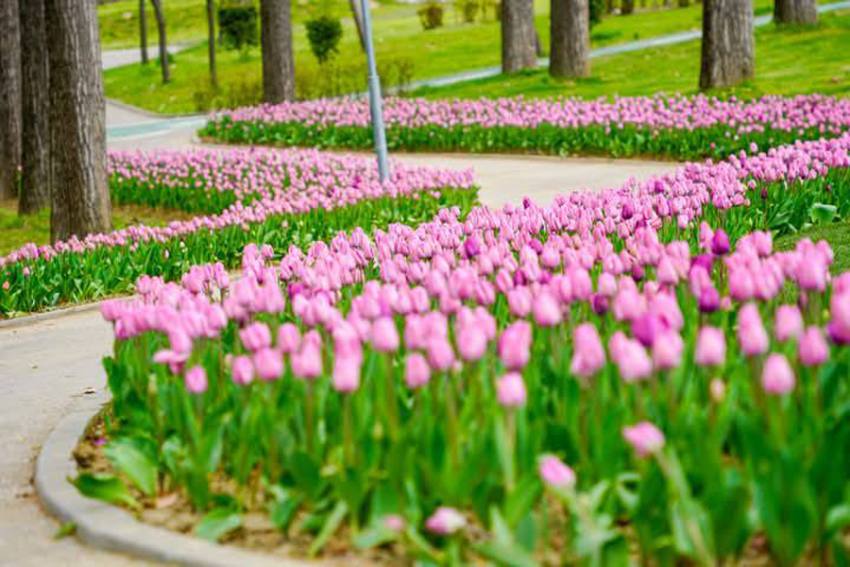 Sursă foto: FB CJ Argeș