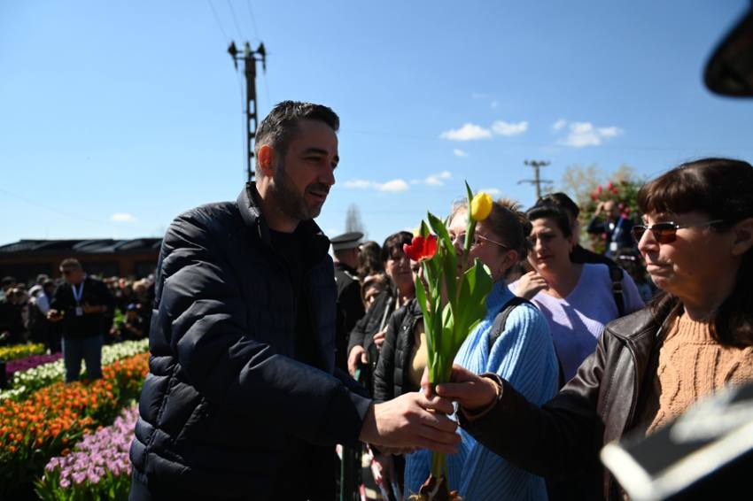 lucretiu tudor viceprimar - De Florii, 20.000 de lalele au fost oferite, de municipalitate, piteștenilor!