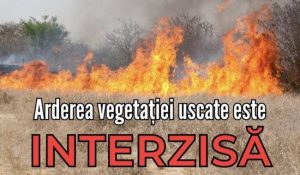 Argeș. Incendiile de vegetație din ultimele 24 de ore au distrus peste 3,5 ha de teren 1 Sursă foto: FB Primăria Municipiului Pitești.
