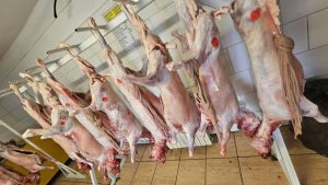 491971016 1111068087728157 5787674879288105577 n - Controale ANSVSA înainte de Paște! Unități închise și amenzi de peste 4 milioane de lei!