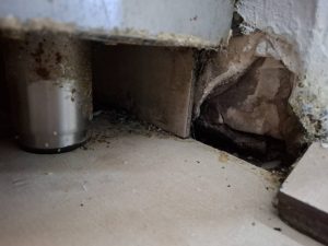 491998376 1111068331061466 8630787475185538344 n - Controale ANSVSA înainte de Paște! Unități închise și amenzi de peste 4 milioane de lei!