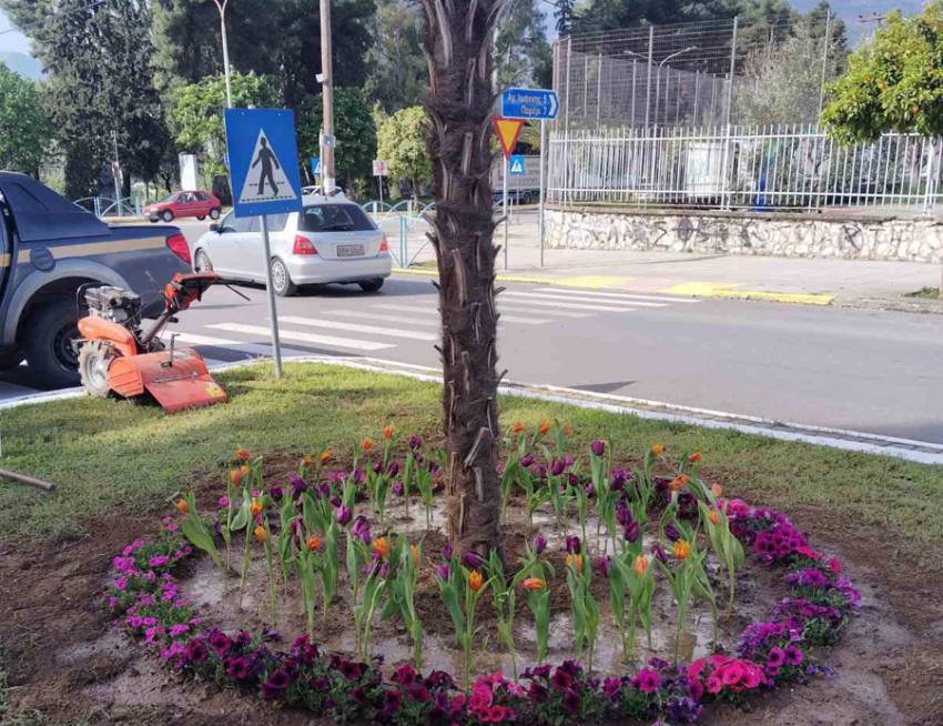 Sursă foto: Primăria Municipiului Pitești.