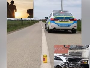 cats2 - (VIDEO) Conduceți responsabil de sărbători! Cineva drag vă așteaptă acasă