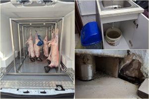 page - Controale ANSVSA înainte de Paște! Unități închise și amenzi de peste 4 milioane de lei!