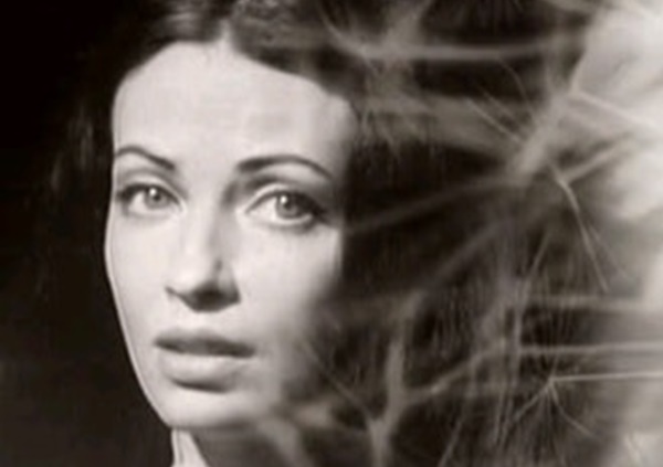 492034634_1214314790061354_1000595740982132976_n