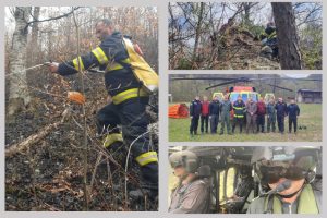 incendiu padure Arges