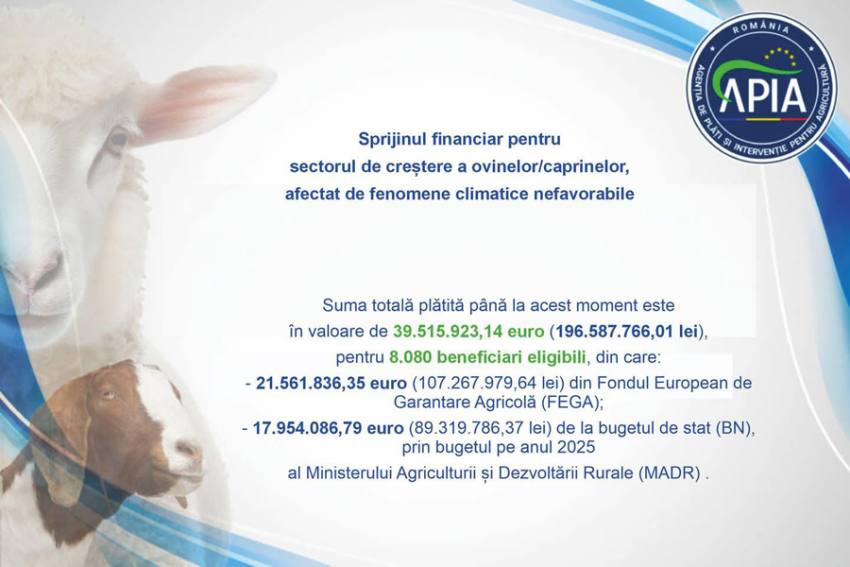 Sprijin financiar pentru crescătorii de ovine și caprine! 1 Sursă foto: FB Ministerul AGriculturii