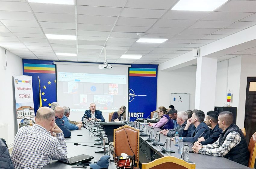 consiliul local Stefanesti