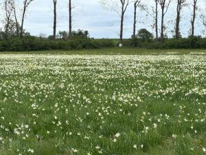 Sursă foto: FB Facaleata Ioana