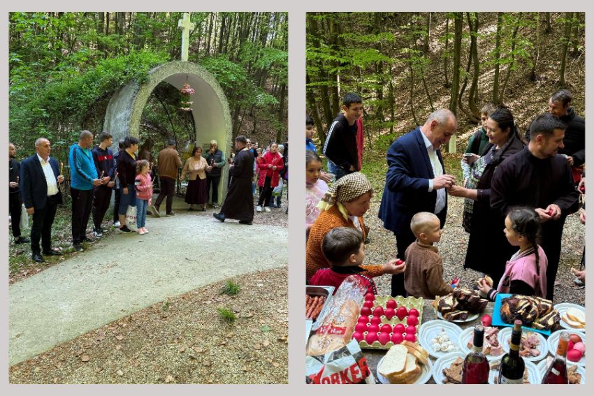 Nicolae Velcea izvor Nicolae Velcea izvor