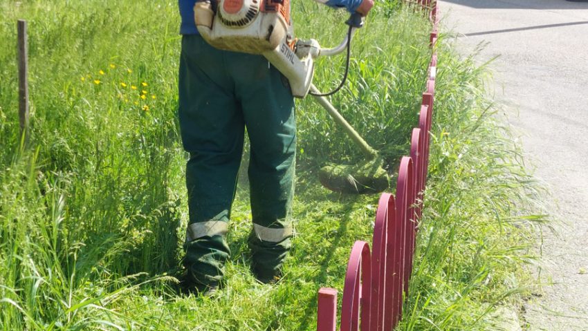 Acțiunea de întreținere a spațiilor verzi continuă în Mioveni 1 Servicii Edilitare pentru Comunitate Mioveni.