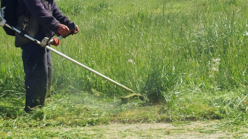 Acțiunea de întreținere a spațiilor verzi continuă în Mioveni 2 Servicii Edilitare pentru Comunitate Mioveni.