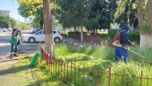 Acțiunea de întreținere a spațiilor verzi continuă în Mioveni 1 Servicii Edilitare pentru Comunitate Mioveni.