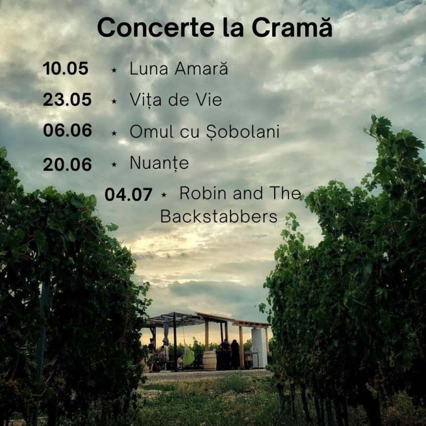 Winebar la Crama Marcea în perioada 1-4 mai! Distracție, dans și muzica bună! 9 Crama Marcea